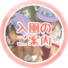 入園のご案内
